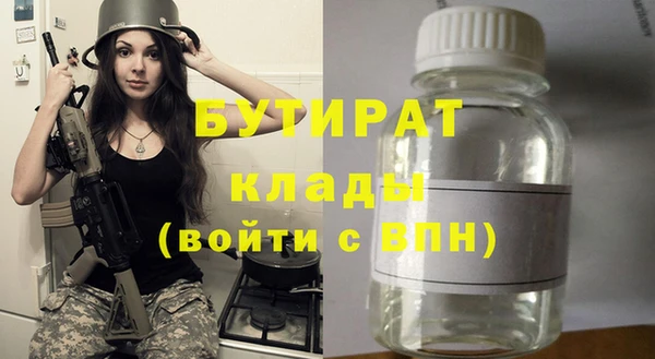 соль ск Ельня
