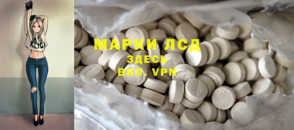 крисы Елизово