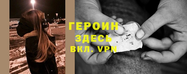 соль ск Ельня