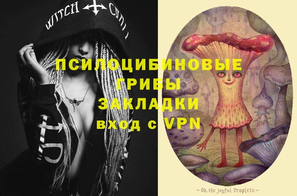 соль ск Ельня