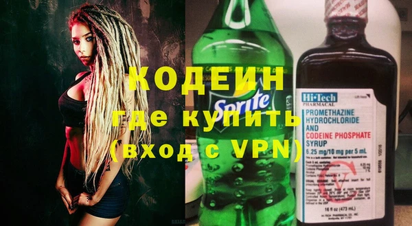 соль ск Ельня