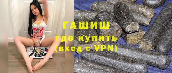 соль ск Ельня