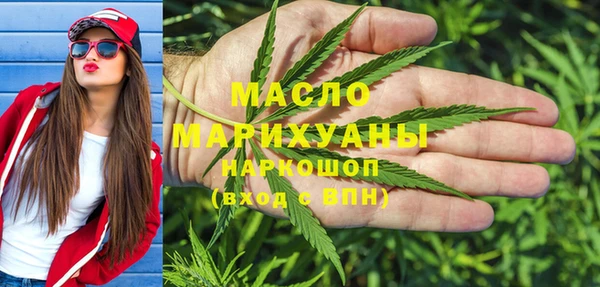 соль ск Ельня