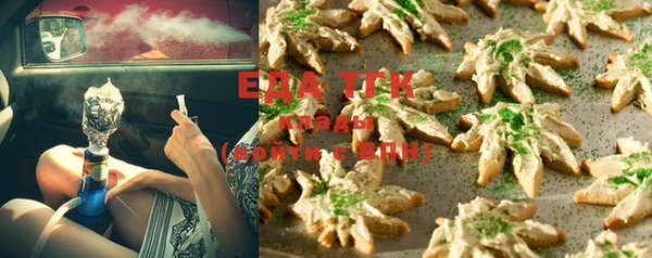 соль ск Ельня