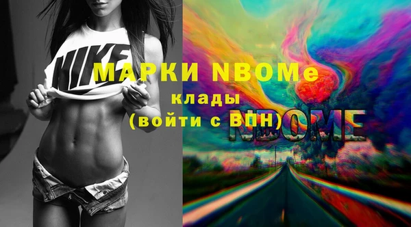 соль ск Ельня