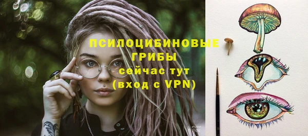 соль ск Ельня