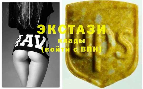 соль ск Ельня